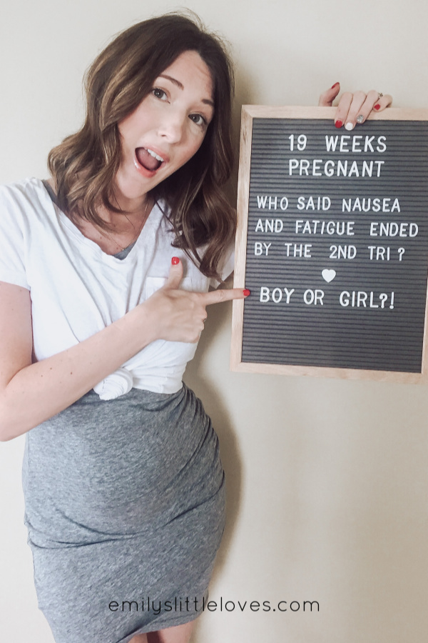 19 weeks pregnancy update